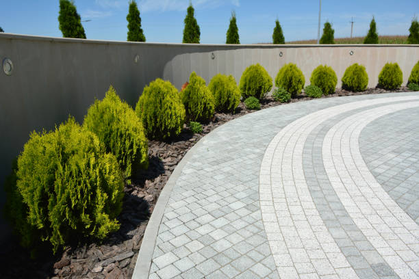 Best Commercial Driveway Pavers  in Surrey, ND